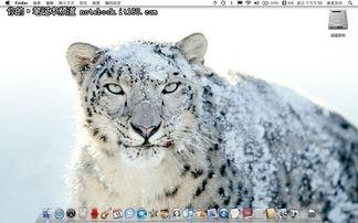 雪豹爆料邱一航视频,揭秘背后惊人内幕